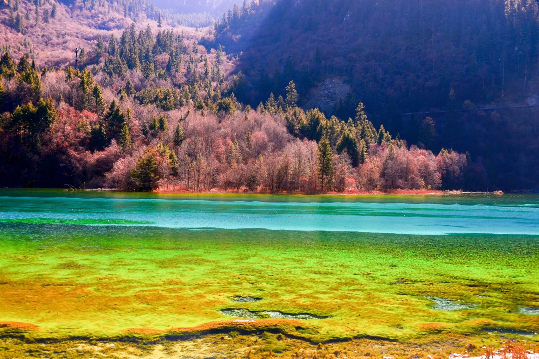 Escape a la Naturaleza: Tour Exprés a Jiuzhaigou en 3 Días de Chengdu