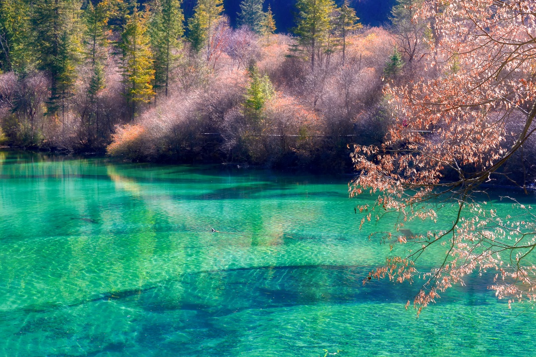 &iquest;C&oacute;mo Llegar a Jiuzhaigou desde Chengdu?